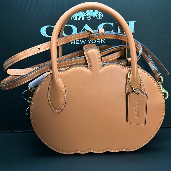 NWT Coach Fall Pumpkin Bag Orange Runway Leather Purse Zippered Case NYFW Handle - Picture 7 of 14
